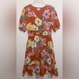 Luxology women’s dress